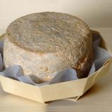 Somport cheese in a glued-wood container